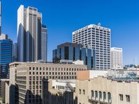 USA High Rise Cityscape: A View During the Day