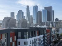 USA High-Rise Skyscrapers: A Daytime View