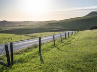 USA's Highland Pasture: A Yellow Field