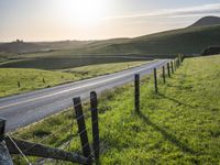 USA's Highland Pasture: A Yellow Field