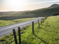 USA's Highland Pasture: A Yellow Field