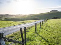 USA's Highland Pasture: A Yellow Field