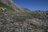 several rocks and flowers in the mountains with a sky background in the background, in the foreground, and a person on a rock trail