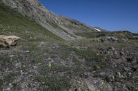 several rocks and flowers in the mountains with a sky background in the background, in the foreground, and a person on a rock trail