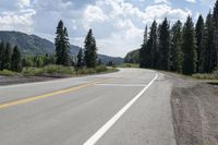 USA Landscape: Asphalt Road, Mountain, Forest 001