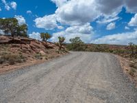 USA Landscape: Gravel Streets and Natural Beauty