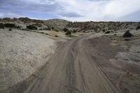 USA Landscape: Nature and Road