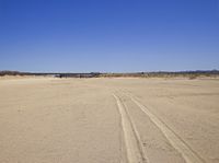 USA Landscape: A Natural Environment with Trees and a Distant Horizon