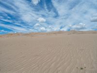 USA Landscape: Open Space and Clear Skies