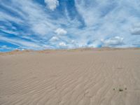 USA Landscape: Open Space and Clear Skies