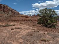 USA Landscape: Open Space and Clear Sky in Capitol Reef, Utah