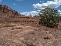 USA Landscape: Open Space and Clear Sky in Capitol Reef, Utah