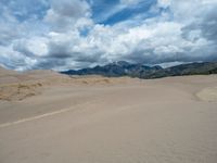 USA Landscape: Open Space in the Desert