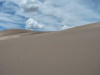 USA Landscape: Open Space and Sand Dunes