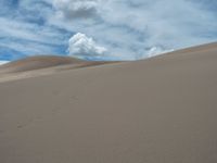 USA Landscape: Open Space and Sand Dunes