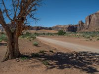 USA Landscape: Shadows on Dirt and Gravel Roads