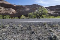 this is an image of desert with trees in the middle of the road and rocks to the side