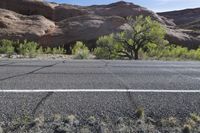 this is an image of desert with trees in the middle of the road and rocks to the side