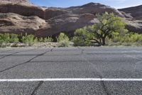 this is an image of desert with trees in the middle of the road and rocks to the side