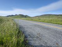 USA: Low Grass Day in Nature