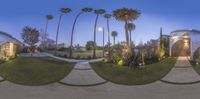 a photo taken by a fisheye lens of a home at night, surrounded by palm trees