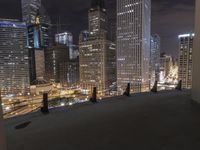 USA Metropolis Overview: Cityscape at Night