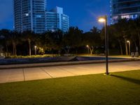 a park with some plants lights and buildings in the background at night time and an empty sidewalk