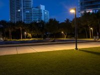 a park with some plants lights and buildings in the background at night time and an empty sidewalk