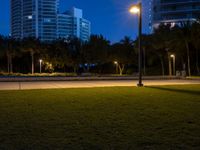 a park with some plants lights and buildings in the background at night time and an empty sidewalk