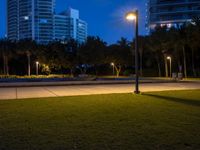 a park with some plants lights and buildings in the background at night time and an empty sidewalk