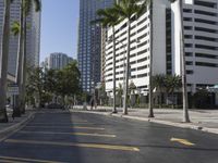 empty city street surrounded by high rise buildings and palm trees, with buildings and cars parked in parking spaces