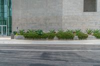 the curb in front of a grey wall with planters and grass growing on it