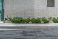 the curb in front of a grey wall with planters and grass growing on it