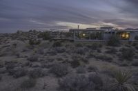 USA Mountain: Dawn Light and Rugged Horizon