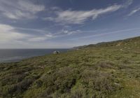 the person is on the edge of the cliff watching the water, rocks and grass