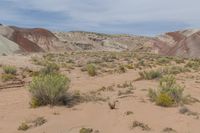 USA's Majestic Mountain Landforms