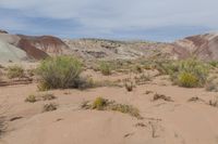 USA's Majestic Mountain Landforms