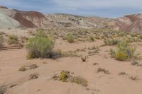 USA's Majestic Mountain Landforms