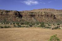 there is a small herd of animals out in the open field, while some mountains and trees are in the background