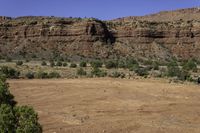 there is a small herd of animals out in the open field, while some mountains and trees are in the background