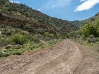 a dirt road going through a canyon filled with trees and rocks near mountains with sparse vegetation