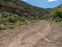 USA Mountain Landscape: Off-Road Track