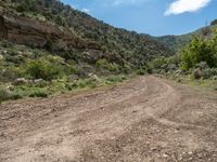 USA Mountain Landscape: Off-Road Track