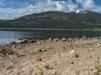 USA's Mountain Range: A Tranquil Lake Amidst Nature