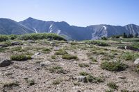 USA Mountain Range: A Breathtaking Valley in Nature