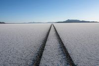 The Scenic Mountain Road in the USA: Asphalt and Grass