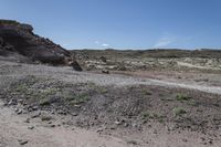 USA Mountain Road: A Path Through Green Grass