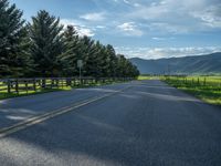 a empty road that goes through a grassy area with mountains in the background as well as trees