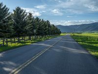 a empty road that goes through a grassy area with mountains in the background as well as trees