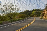 USA's Mountain Road: Embrace Nature at Dawn